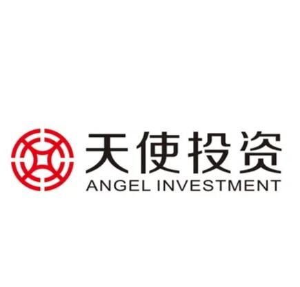 天使投資管理 早期投資的關(guān)鍵策略與風險管理