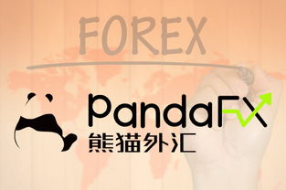 外匯交易資產管理進階指南 構建穩健的投資框架